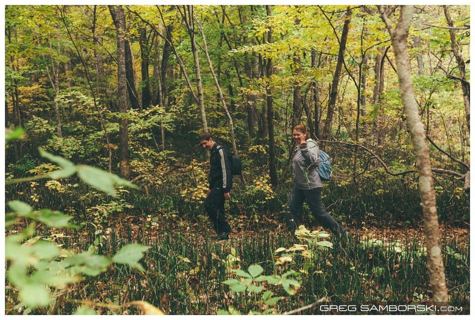 Forest Path