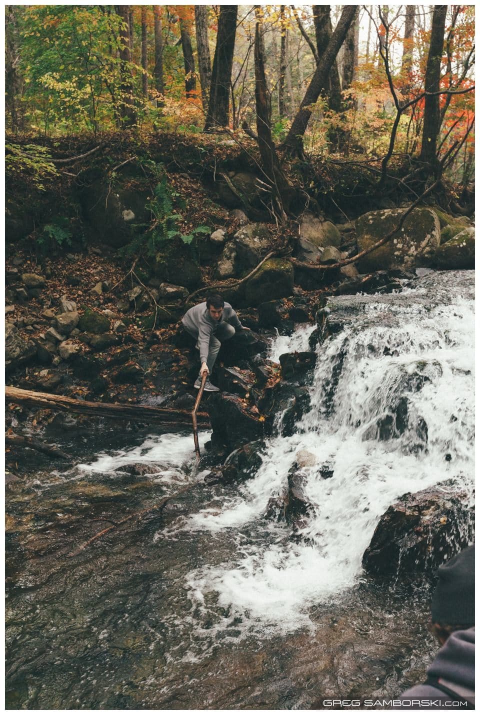 Rearranging Nature