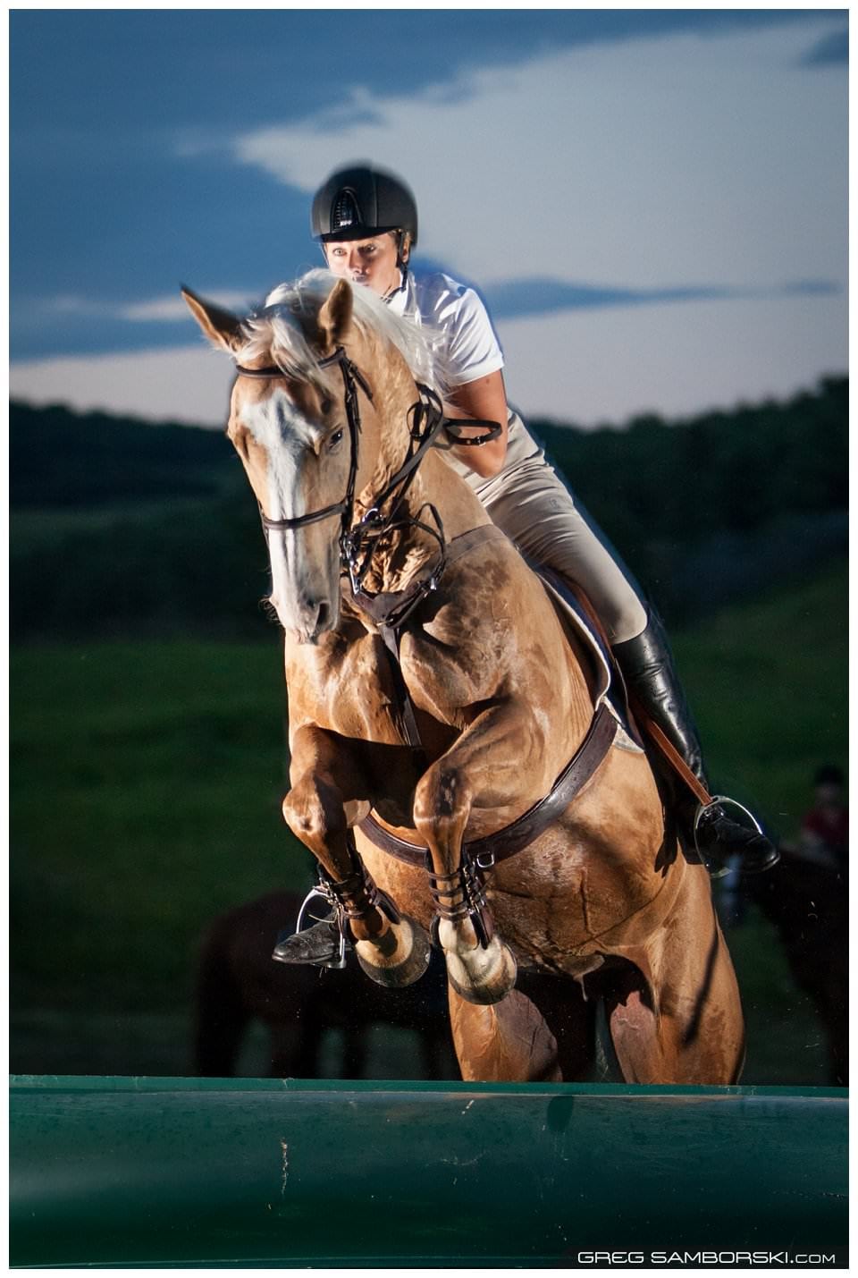 Calgary Equestrian Lifestyle Photographer