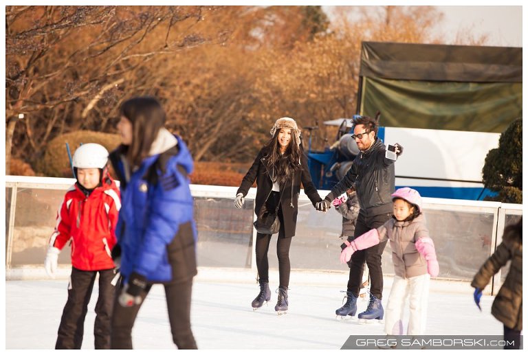 Seoul Proposal Locations Skating Rink