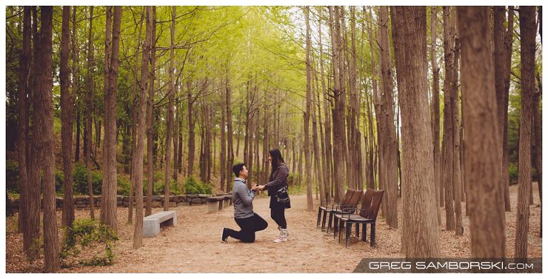 Proposal Photographer in Seoul Korea