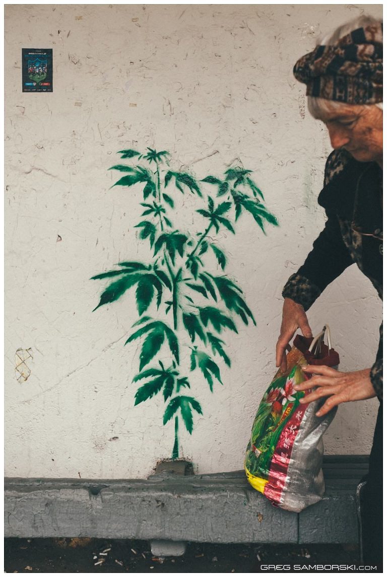 Pot Plant Graffiti