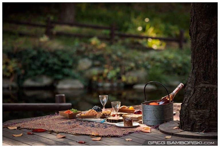 Proposal Picnic in the Fall | Ephraim & Grace @ Seoul Forest